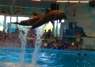 Посещение Минского зоопарка и дельфинария "Nemo"