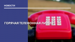 Горячая телефонная линия 04.02.2026